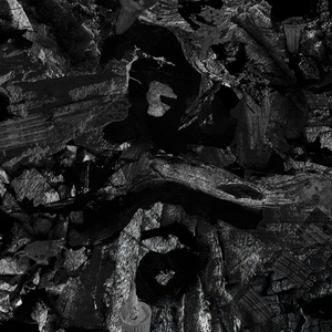 男总裁贱狗是男秘书主人的垫脚
