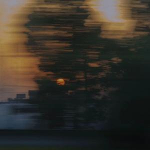 男总裁贱狗是男秘书主人的垫脚
