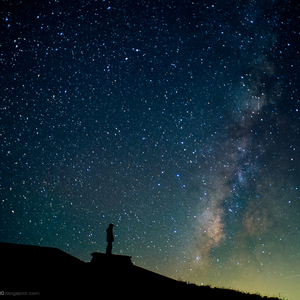男总裁贱狗是男秘书主人的垫脚
